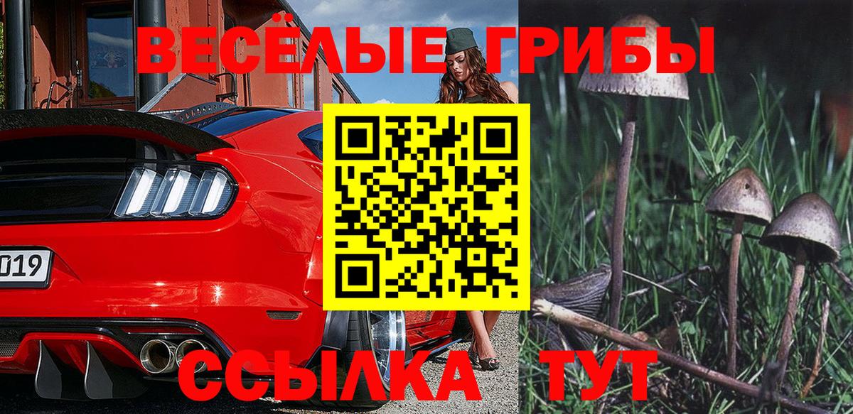 Краснознаменск  Галлюциногенные грибы ЛСД  Вход с VPN 
